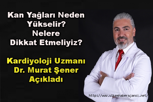 Kan Yağları Neden Yükselir? Nelere Dikkat Etmeliyiz?
