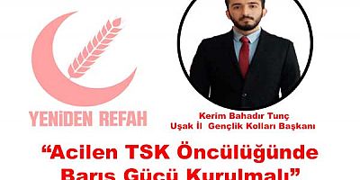 Filistin için ‘’Acilen TSK Öncülüğünde Barış Gücü Kurulmalı’’