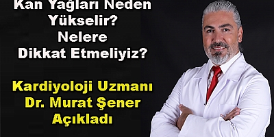 Kan Yağları Neden Yükselir? Nelere Dikkat Etmeliyiz? 