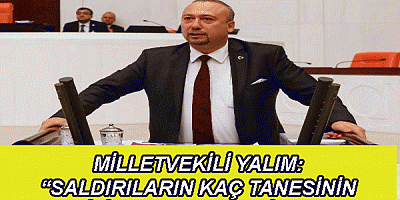 MİLLETVEKİLİ YALIM: “SALDIRILARIN KAÇ TANESİNİN FAİLİ ŞU AN CEZA EVİNDE?”