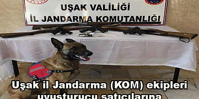Uşak il Jandarma (KOM) ekipleri uyuşturucu satıcılarına göz açtırmıyor.