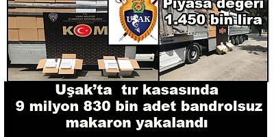 Uşak'ta TIR kasasında 9 milyon 830 bin adet bandrolsüz makaron yakalandı