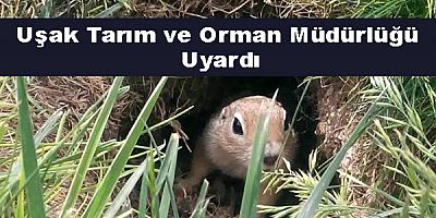 Uşak Tarım ve Orman Müdürlüğü Uyardı