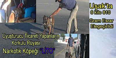 Uyuşturucu ticareti yapanların korkulu rüyası Narkotik köpeği ‘’LİTO’’